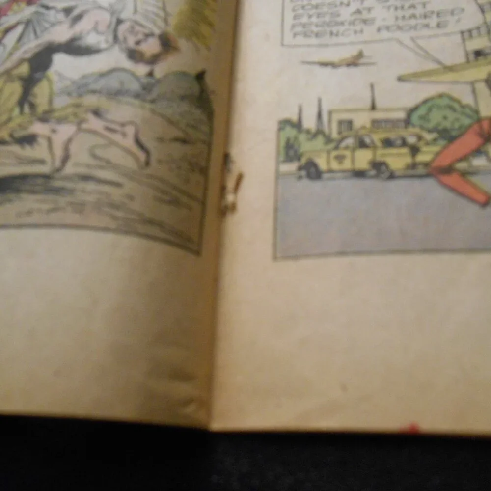 SUPERTEAM FAMILY # 8 Challengers of the Unknown Written by Steve Skeates - Picture 16 of 16